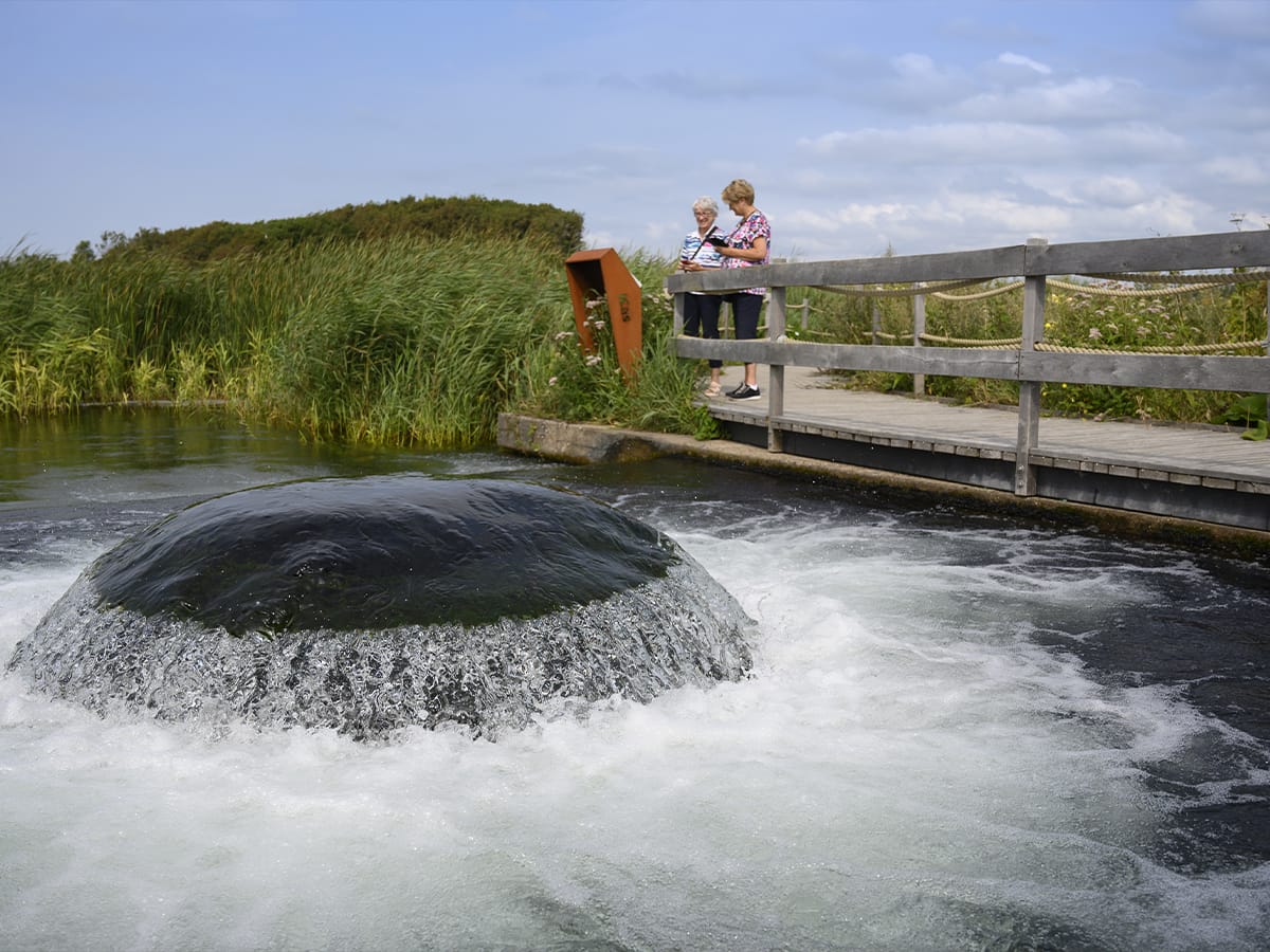 twee vrouwen bij de kwal met duinwater