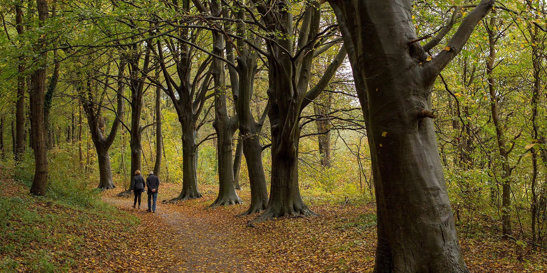 De leukste herfstactiviteiten voor het hele gezin in Castricum