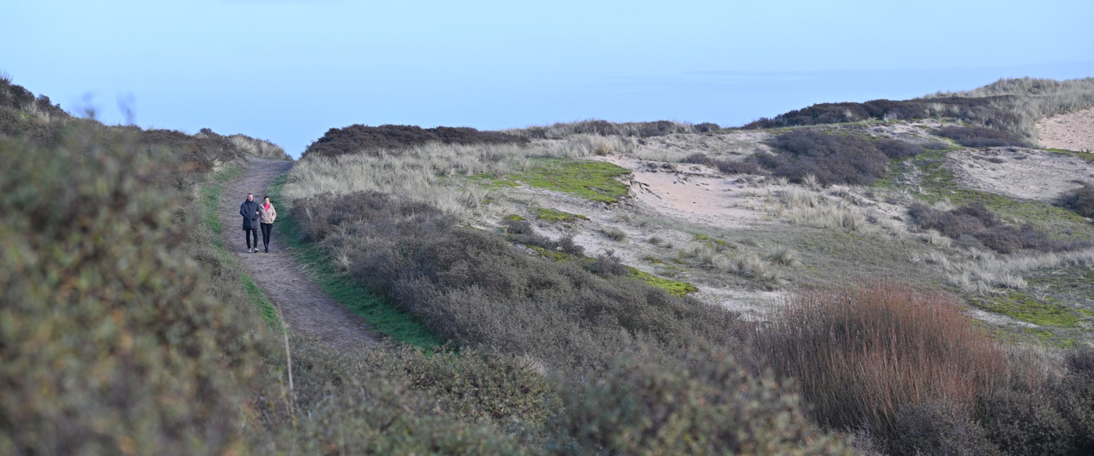 Wandelen in de duinen van Castricum