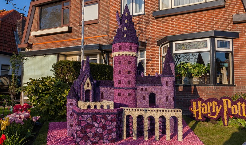 Het kasteel in Harry Potter gemaakt van hyacint Bloemen