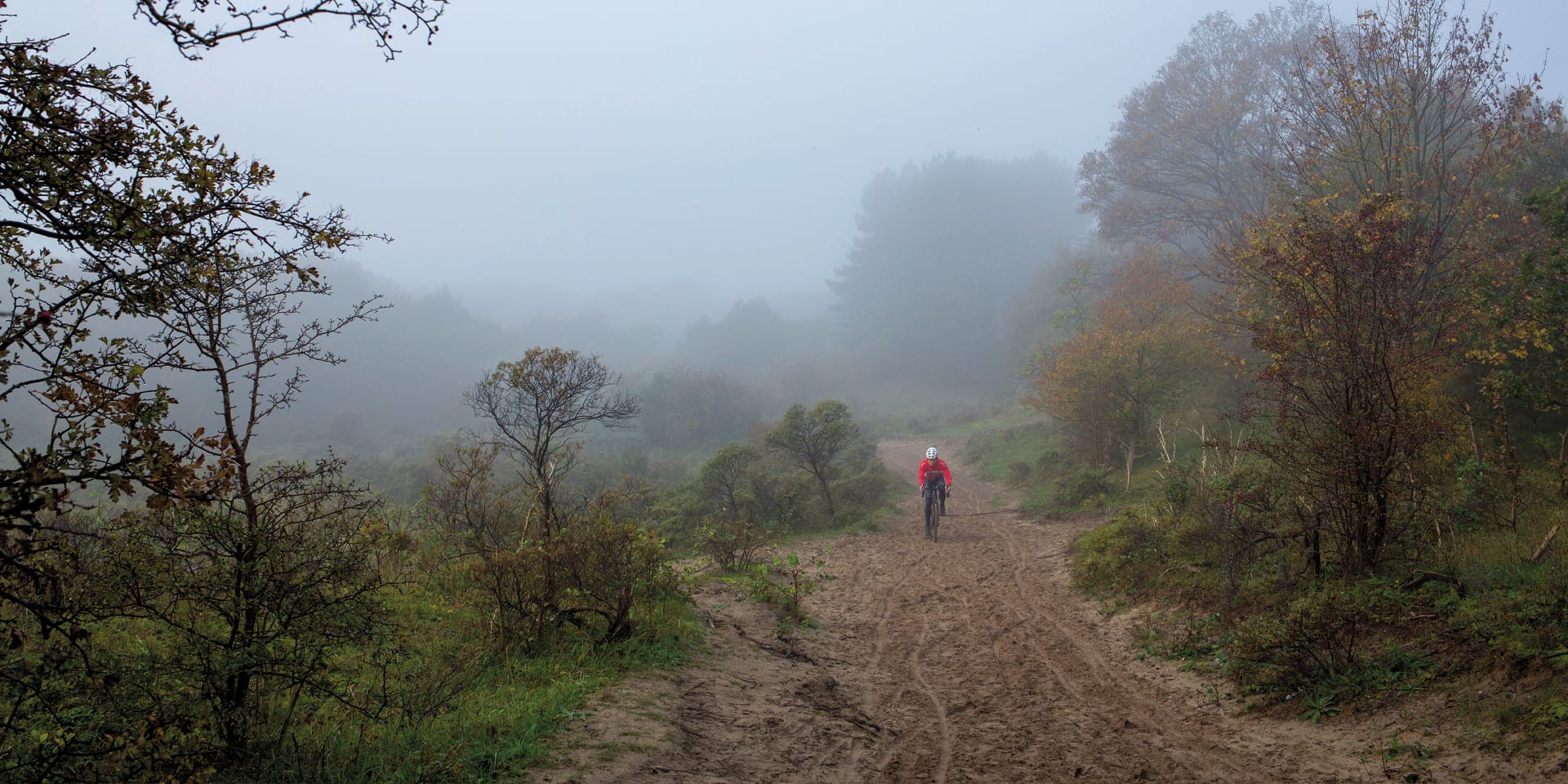 Fietser in het Noordhollands Duingebied