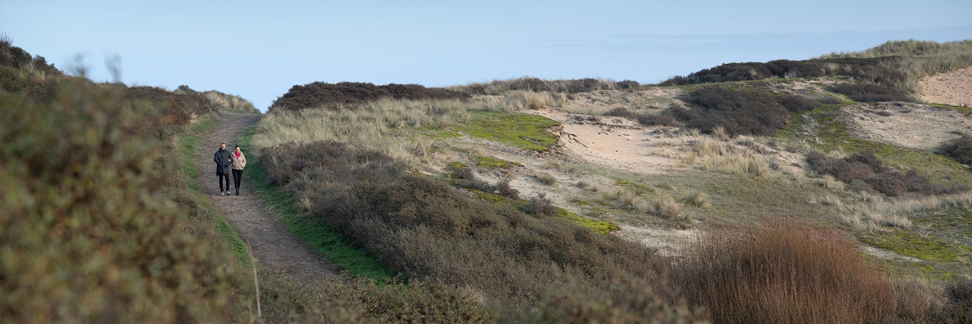 Wandelen in de duinen in het najaar