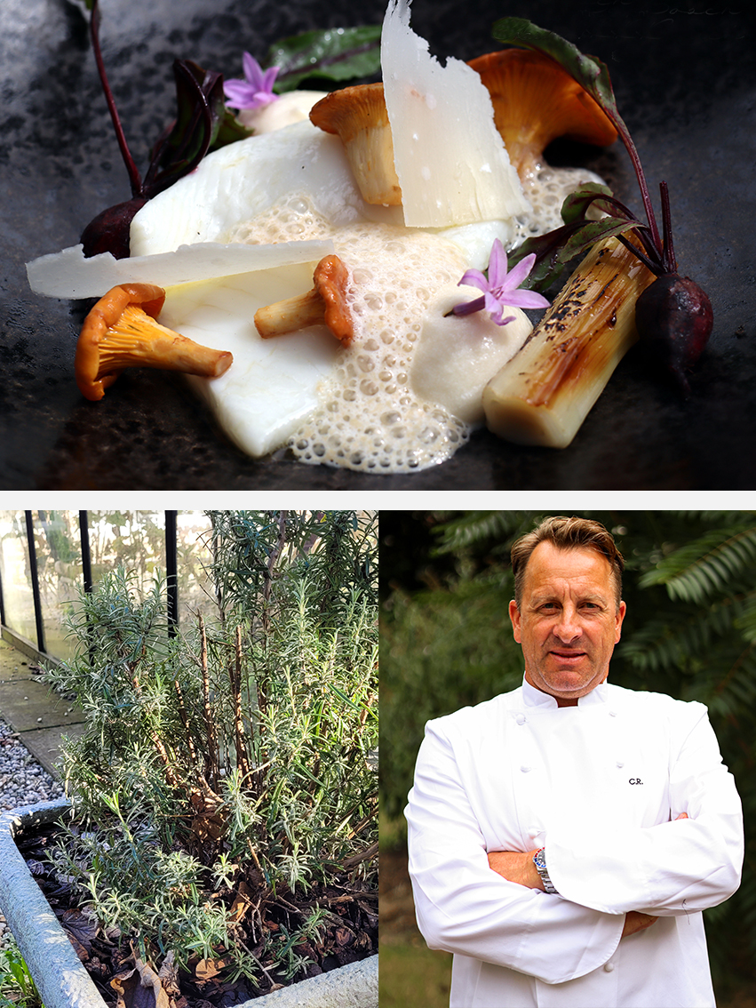 Collage van een gerecht, de tuin en de chef van Restaurant Aan het Bosch