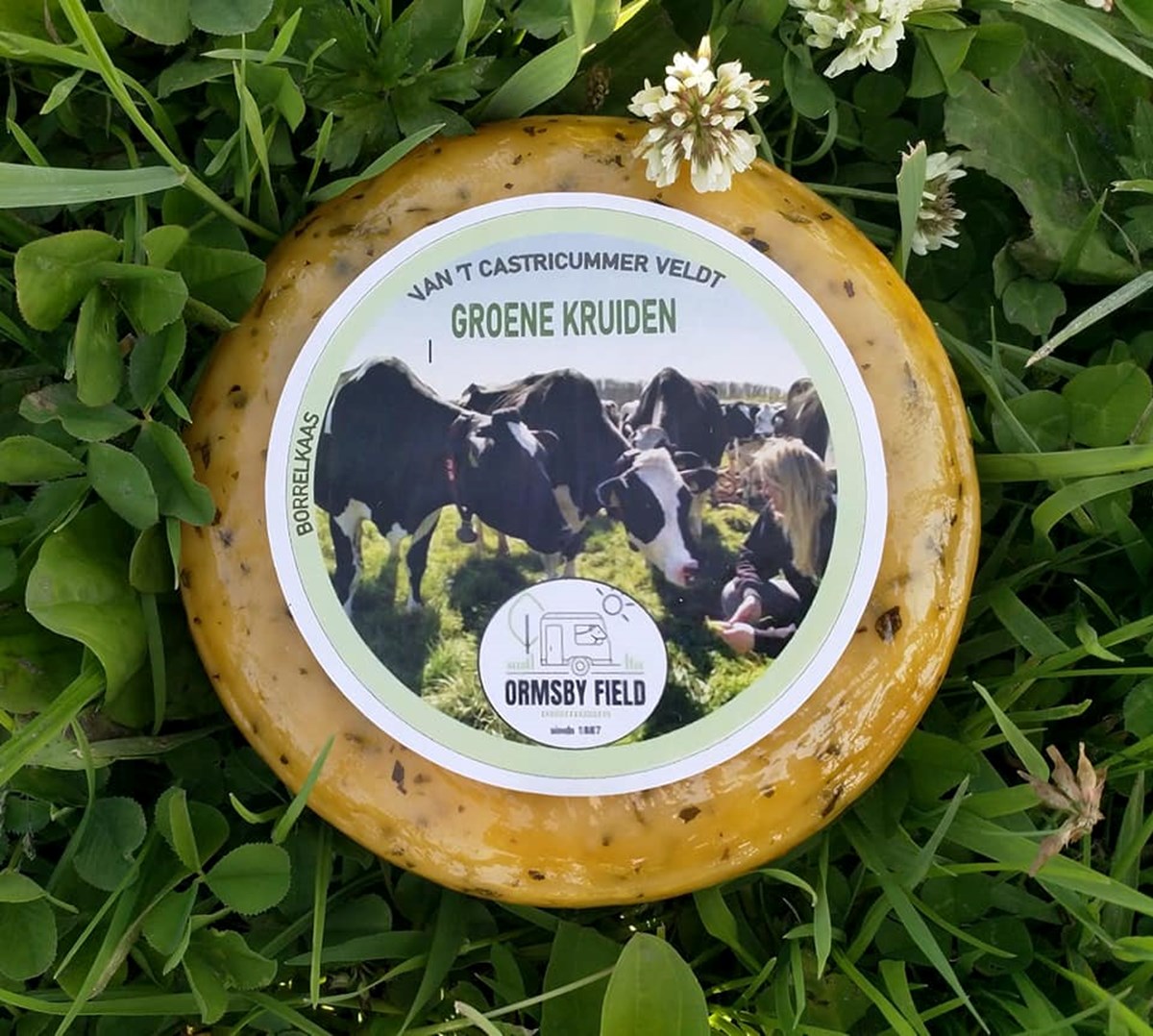 Een wiel groene kruiden kaas van Ormsby Field